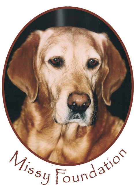 My Charity Fund - The Missy Foundation - Bowen Island BC